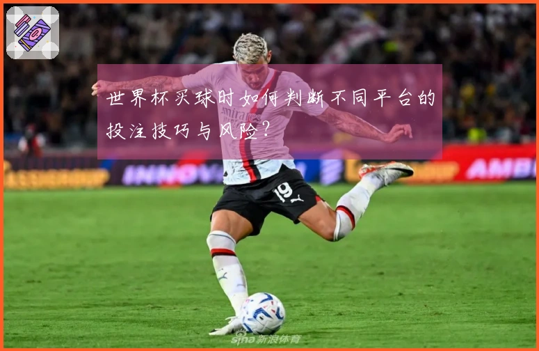 世界杯买球时如何判断不同平台的投注技巧与风险？